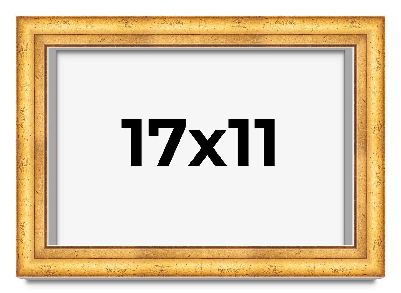 11x17 Deep Shadow Box Picture Frame with UV-Resistant Acrylic & Acid Free Backing, Available in 4 Finishes - Gold, Silver, Brown, White